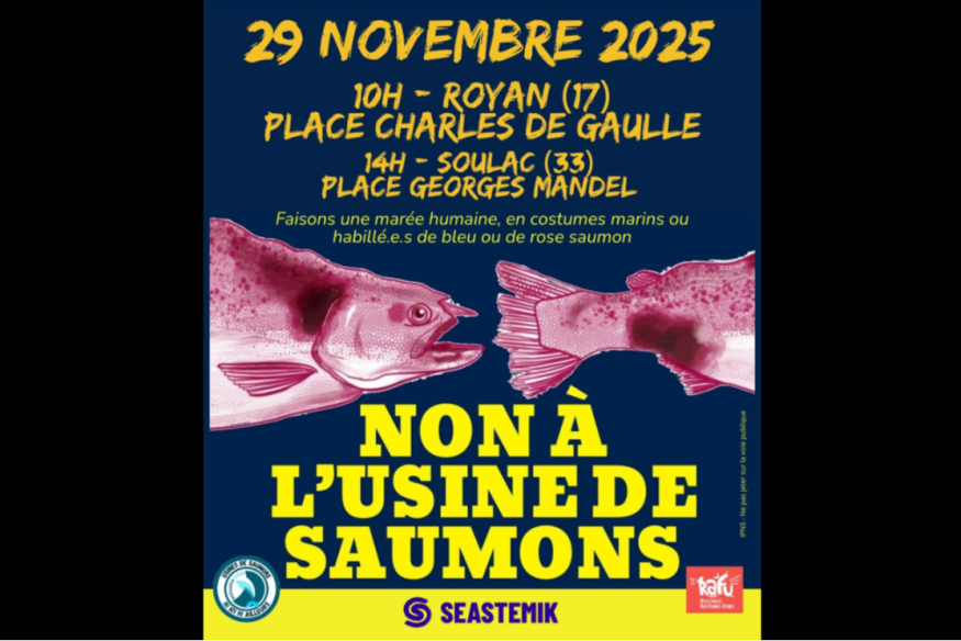 Royan : les opposants au projet de ferme à saumons au Verdon vont battre le pavé